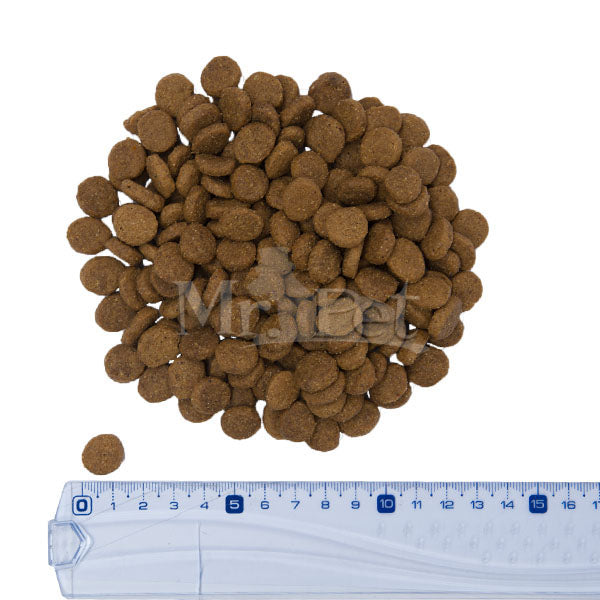 Taste Of The Wild Southwest Canyon – merjasec (4)