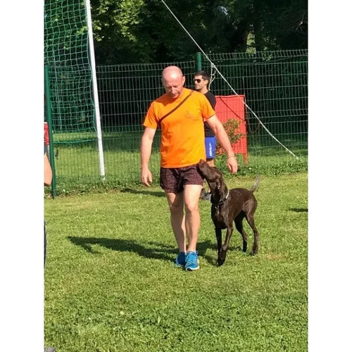 Spletna trgovina Mr.Pet