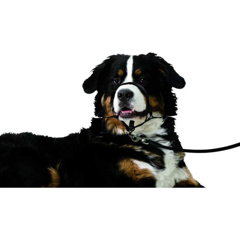 Flamingo oglavnica Easy Leader, XL - 55-74 cm (3)