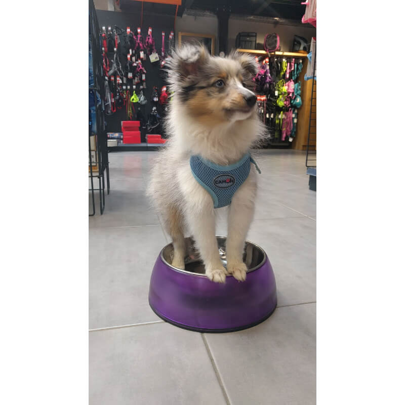 Camon oprsnica telovnik, moder - 32-37 / 33-44 cm (3)