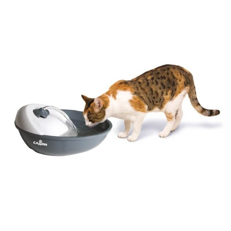 Camon fontana za vodo - 1,7 l (2)