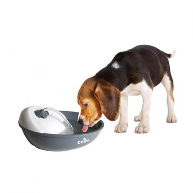 Camon fontana za vodo - 1,7 l (3)