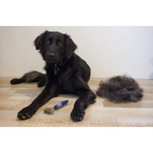 Camon Soft Grip grablje za vozle - 8 rezil (2)