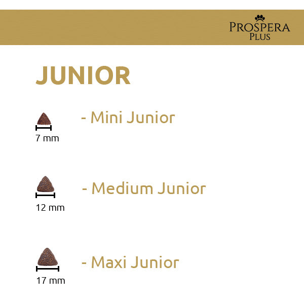Prospera Plus Maxi Junior - 15 kg (2)