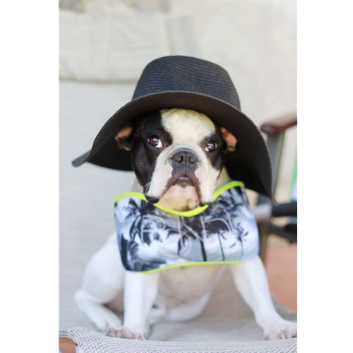 Mr.Pet spletna trgovina
