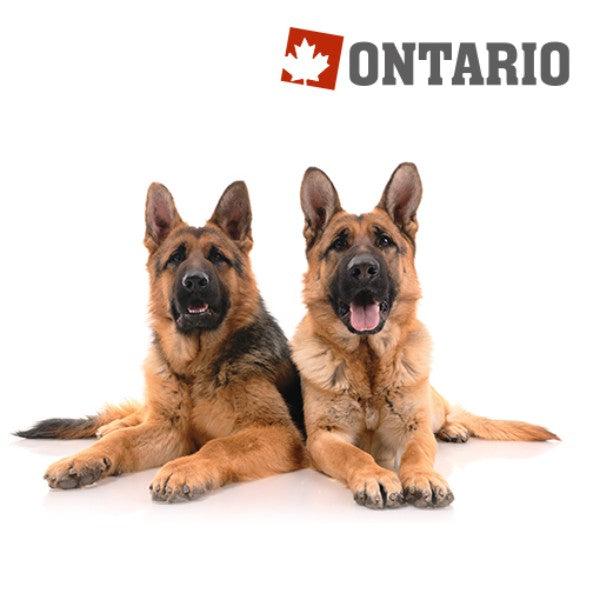 Ontario Adult Large - govedina, puran in riž (2)