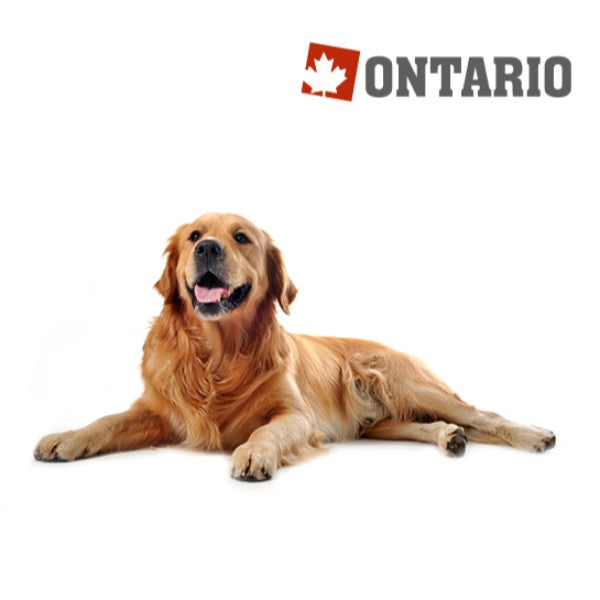 Ontario Adult Large - piščanec in krompir (2)