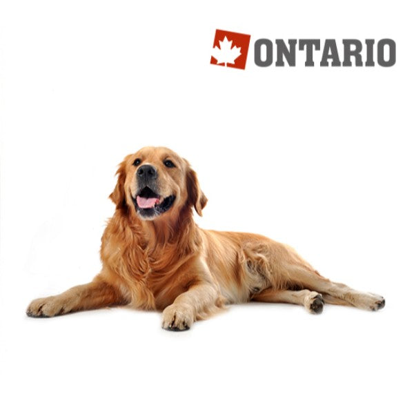 Ontario Adult Large - jagnjetina, puran in riž (2)