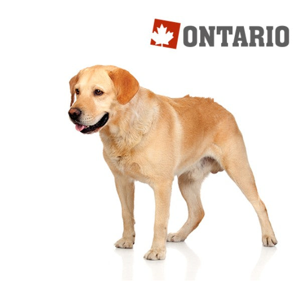 Ontario Adult Large Weight Control - puran in krompir (2)