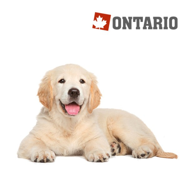Ontario Puppy & Junior Large - piščanec in krompir (2)