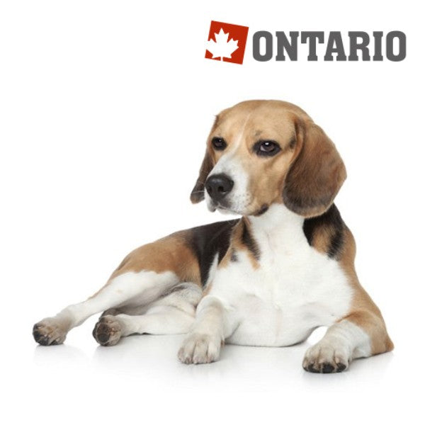 Ontario Adult Medium - 7 rib in riž (2)