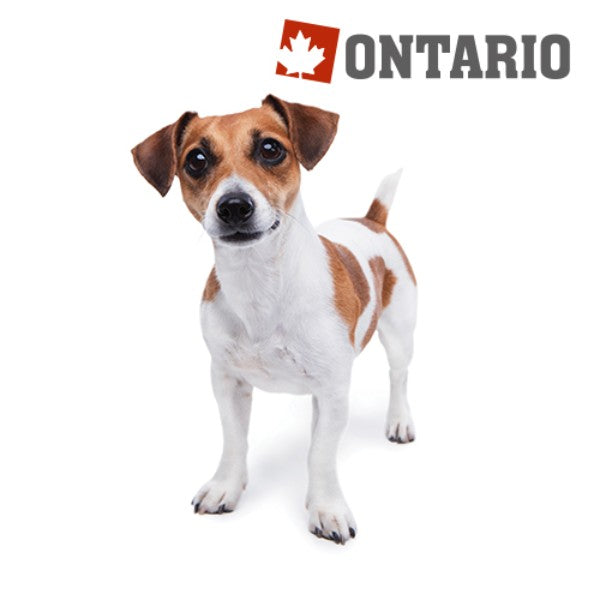 Ontario Adult Mini - 7 rib in riž (2)