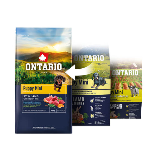 Ontario Puppy Mini - jagnjetina in riž