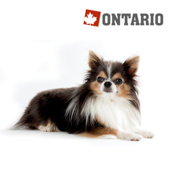 Ontario Senior Mini - 7 rib in riž (2)