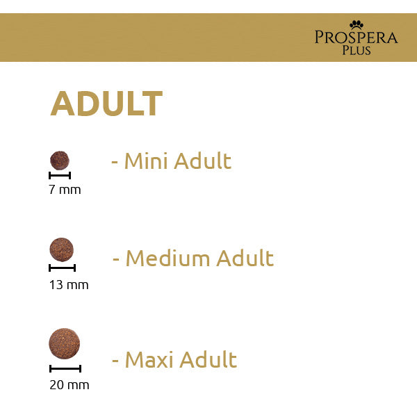 Prospera Plus Adult Maxi (2)