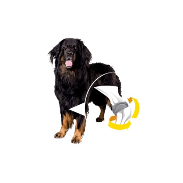 Prospera Plus Adult Maxi (3)