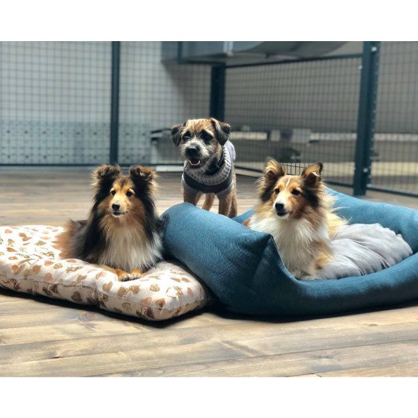 Leopet oglata blazina Bomber, mix barve (3)