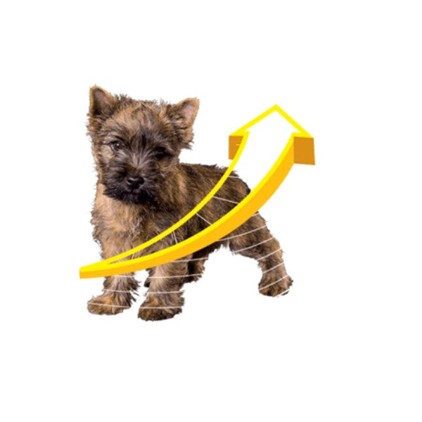 Prospera Plus Mini Junior (2)