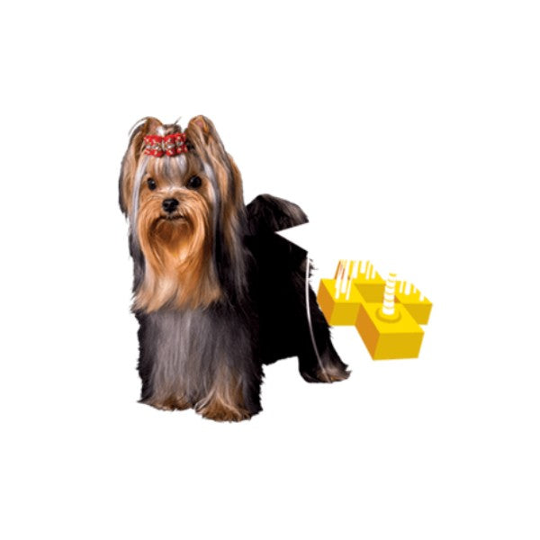 Prospera Plus Yorkshire (2)