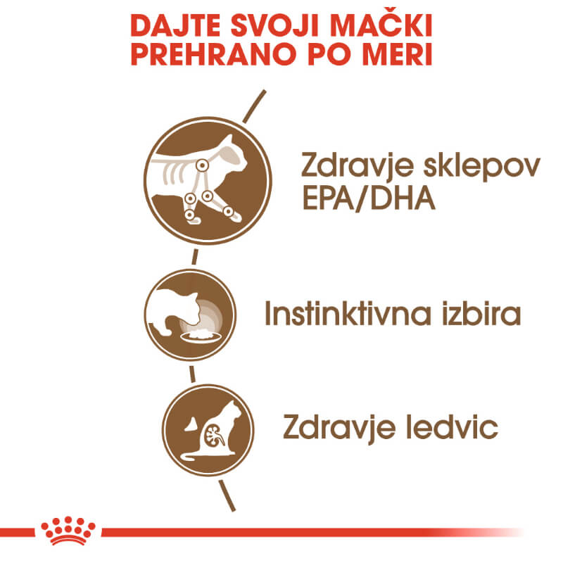 Royal Canin Ageing (12+) - žele (3)