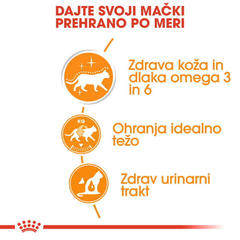 Royal Canin Intense Beauty - žele (3)