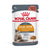 Royal Canin Intense Beauty - omaka