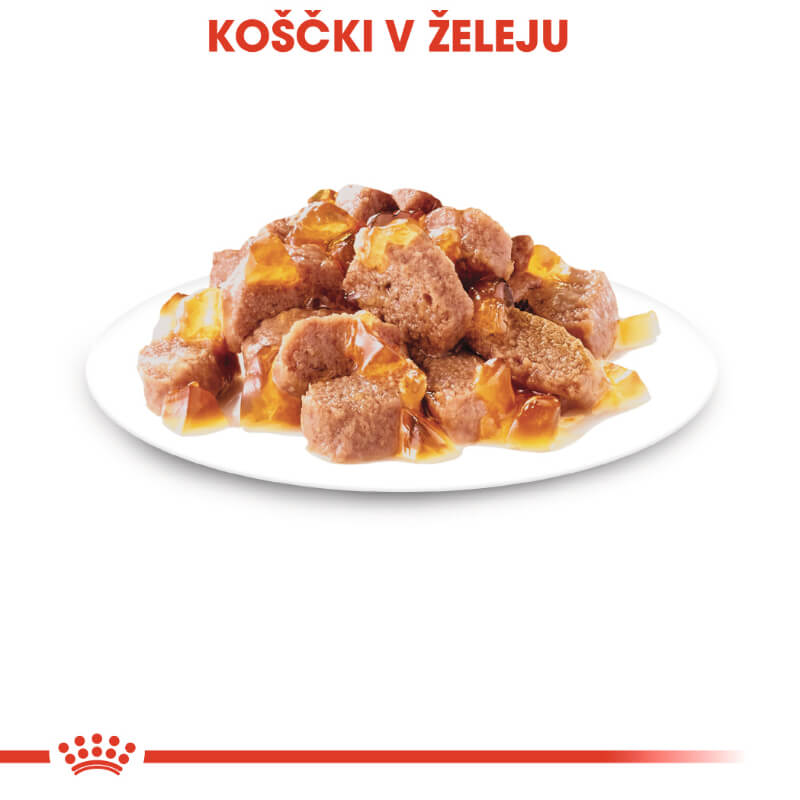 Royal Canin Sterilised - žele (2)