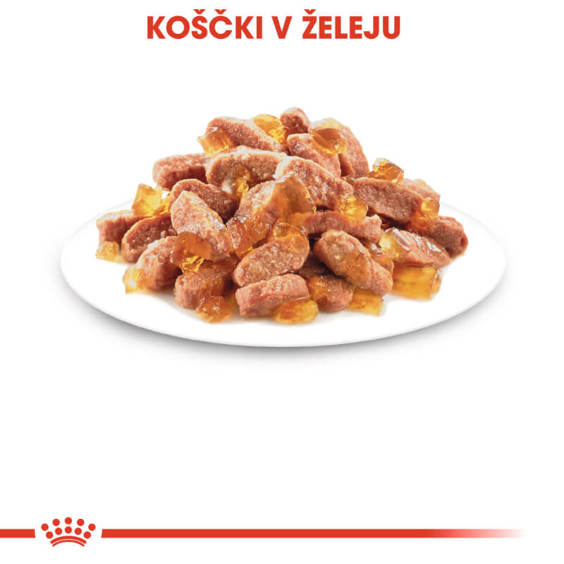 Royal Canin Kitten Instinctive - žele (2)