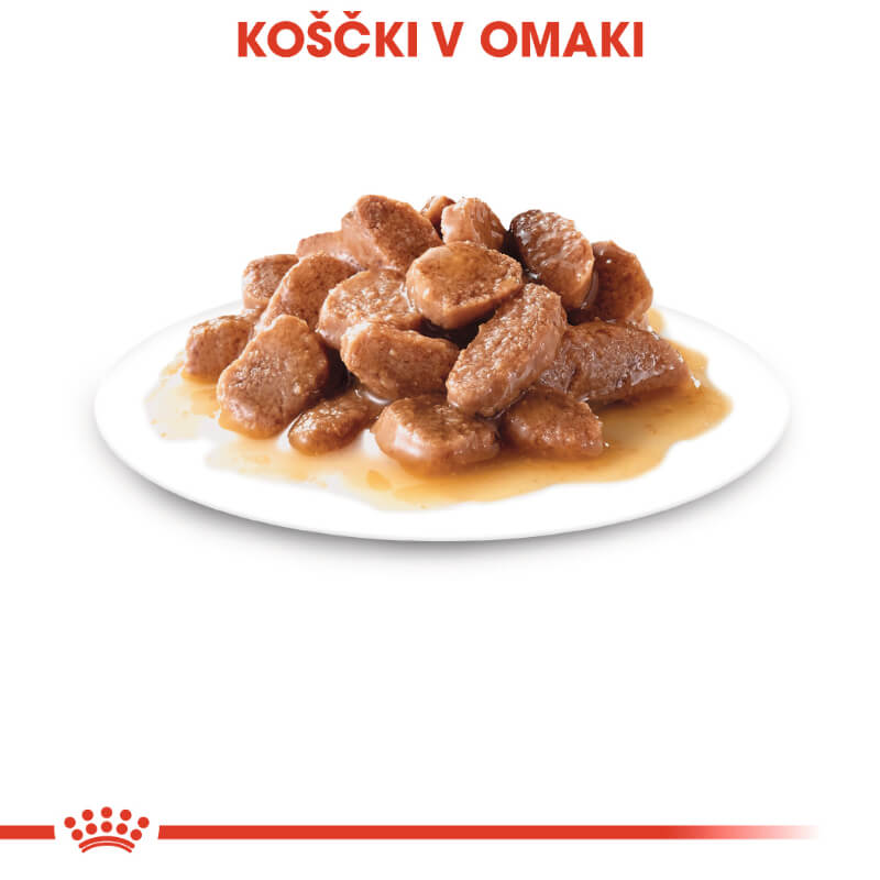 Royal Canin Digest Sensitive - omaka (2)