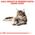 Royal Canin Maine Coon Adult (4)