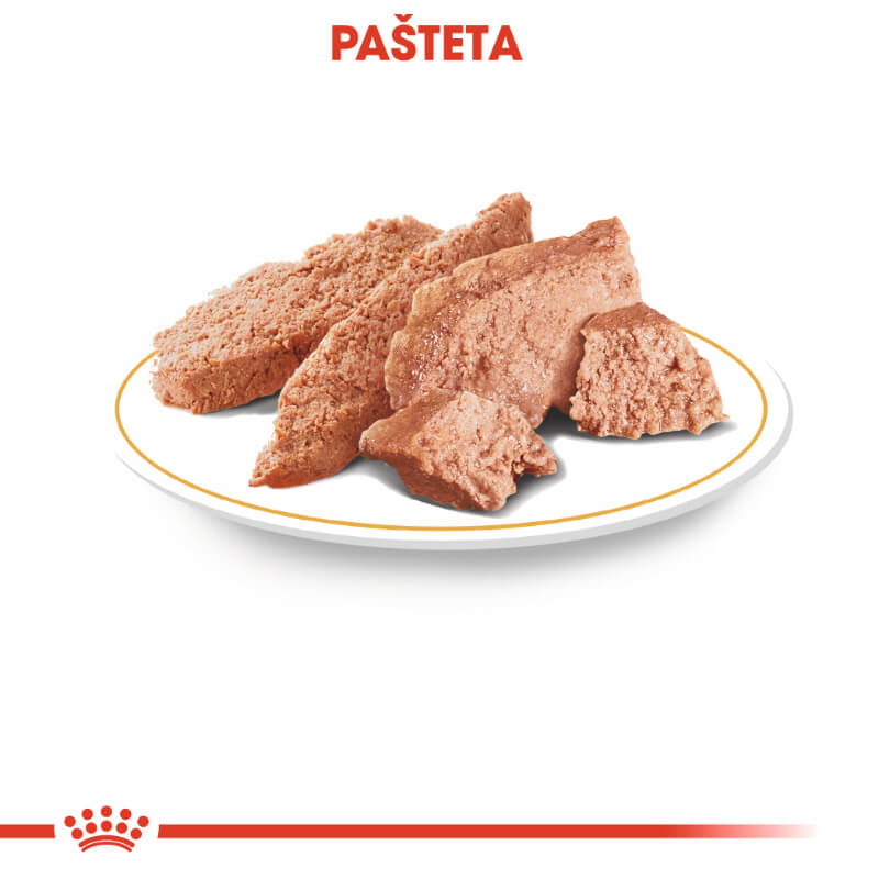 Royal Canin Yorkshire Terrier mokra hrana (2)