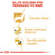 Royal Canin Chihuahua (3)