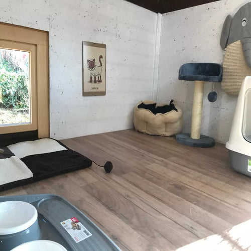 Spletna trgovina Mr.Pet