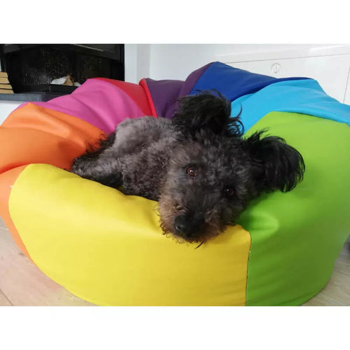 Spletna trgovina Mr.Pet