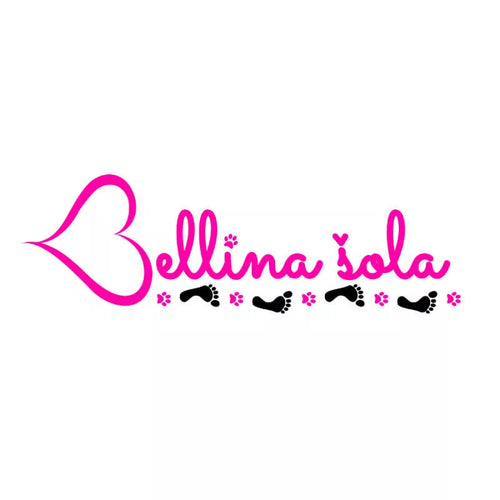 Spletna trgovina Mr.Pet