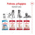 Royal Canin Medium Adult (2)
