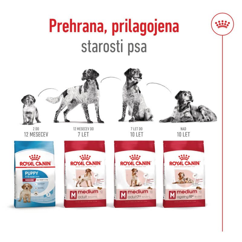 Royal Canin Medium Adult (2)