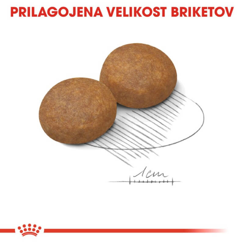 Royal Canin Maxi Adult +5 (2)