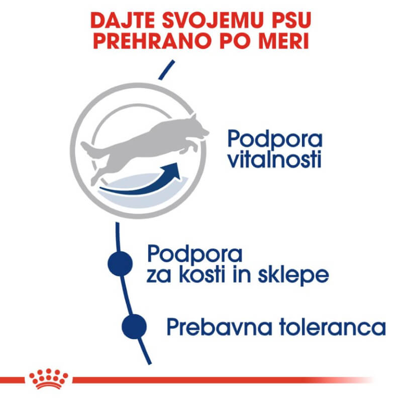 Royal Canin Maxi Adult +5 (3)