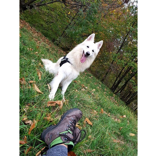 Mr.Pet spletna trgovina