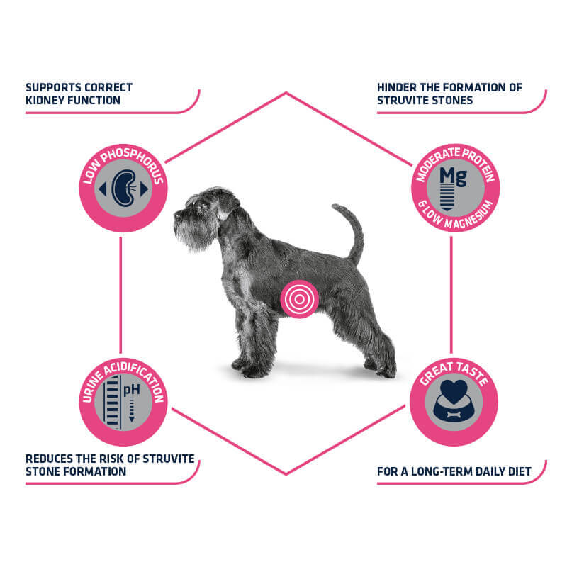 Advance veterinarska dieta Urinary (2)