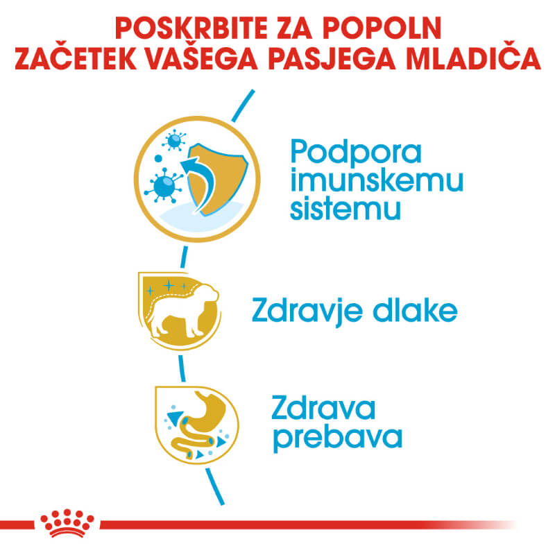 Royal Canin Yorkshire Terrier Puppy (3)