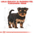 Royal Canin Yorkshire Terrier Puppy (4)