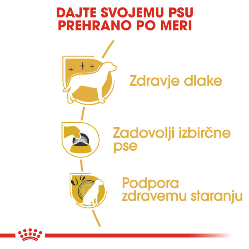 Royal Canin Yorkshire Terrier Adult (3)