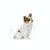 Royal Canin X-small Puppy (4)