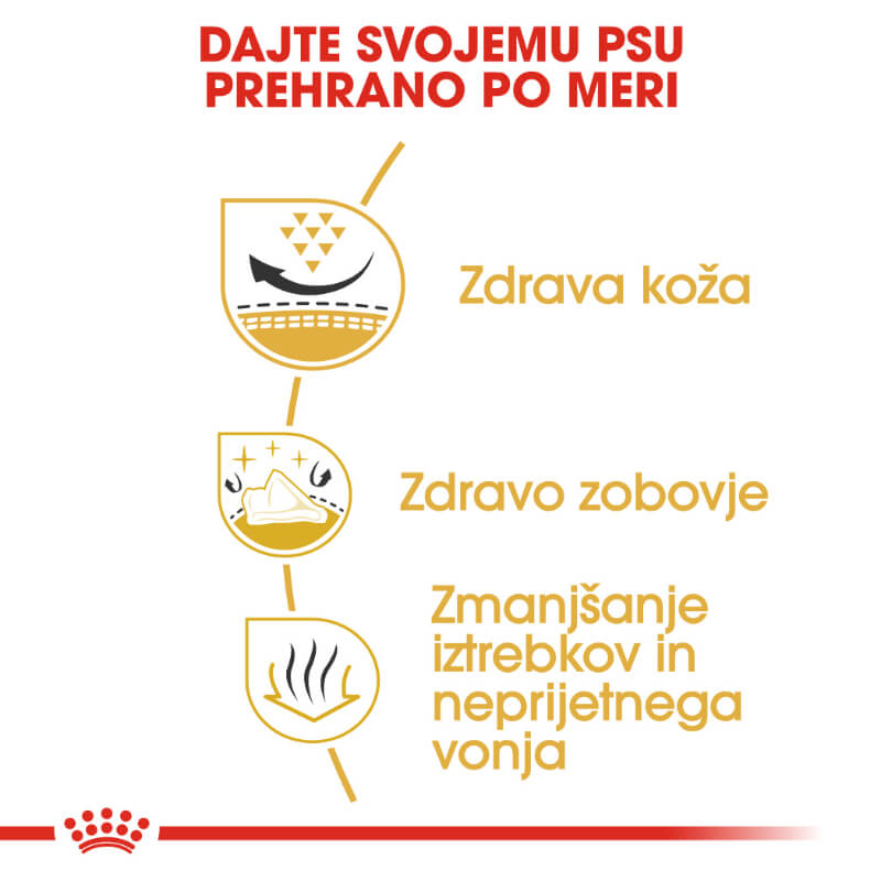 Royal Canin Shih-tzu Adult (3)