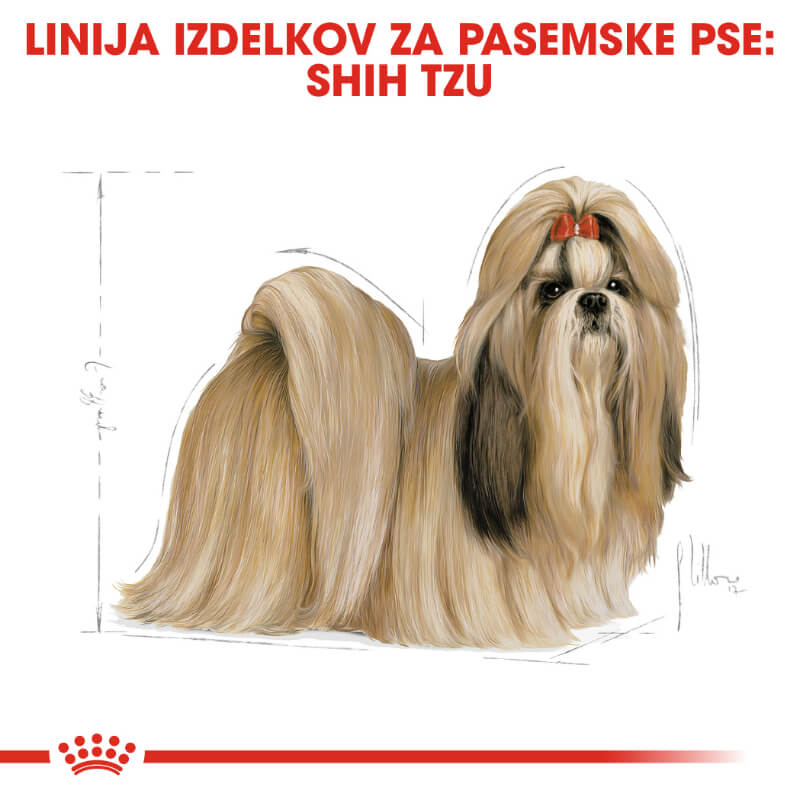 Royal Canin Shih-tzu Adult (4)