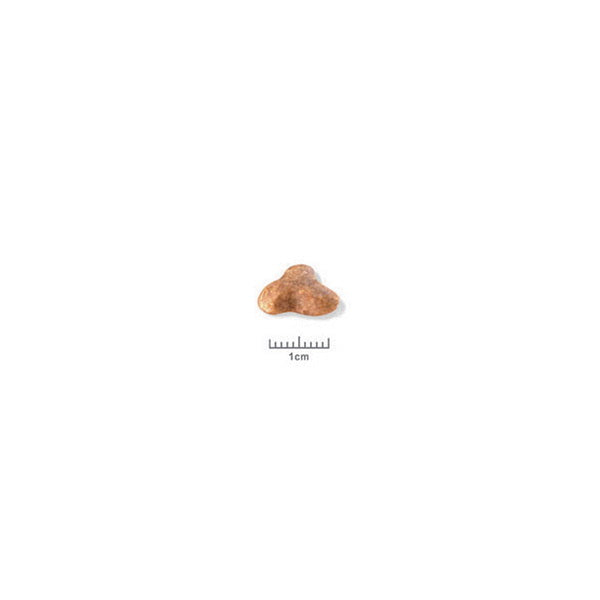 Royal Canin Pug Adult (2)
