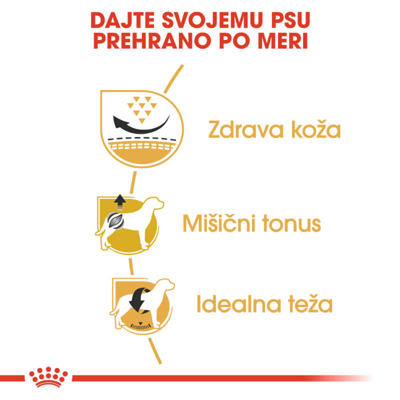 Royal Canin Pug Adult (3)