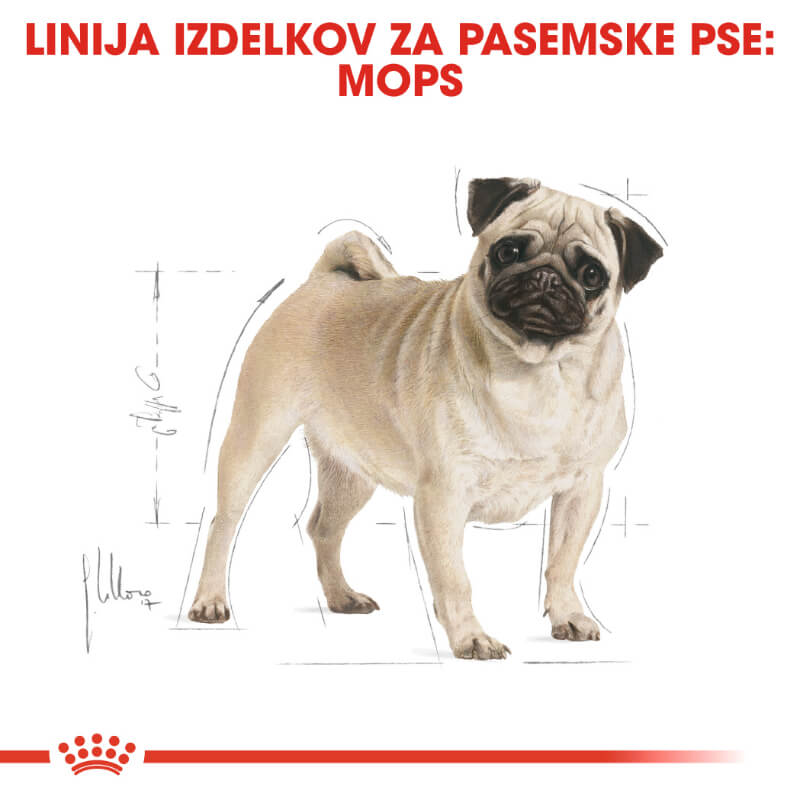 Royal Canin Pug Adult (4)